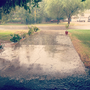 Frivolous Friday vol. 80